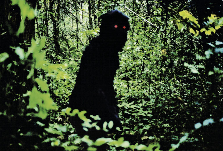 Uncle Boonmee Who Can Recall His Past Lives