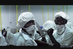 Hubert Saupers „Darwin’s Nightmare“