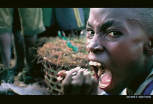 Hubert Saupers „Darwin’s Nightmare“