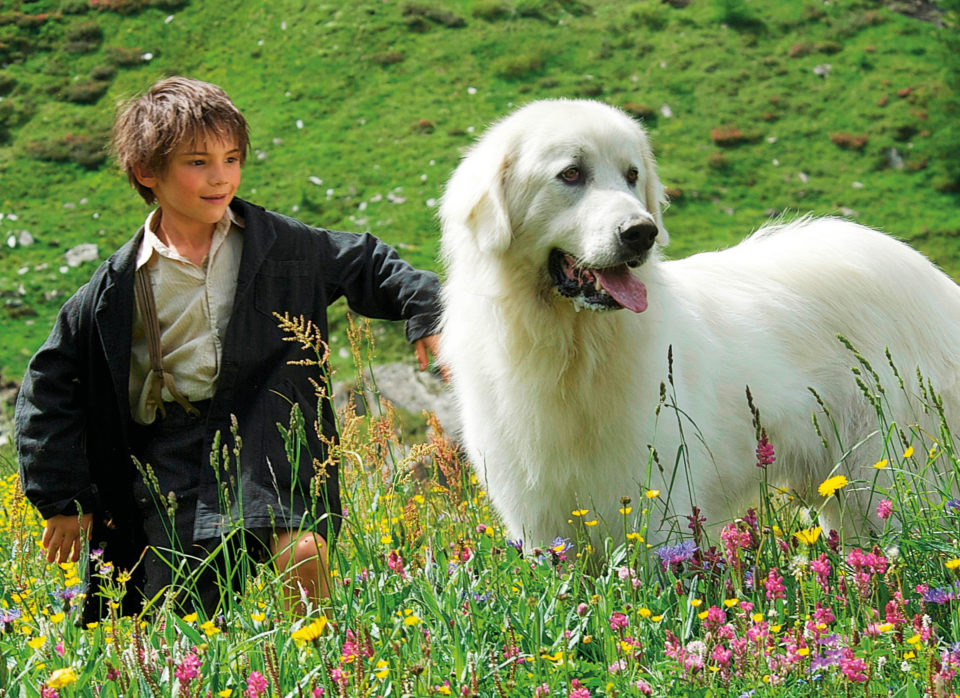 Belle & Sebastian / Belle et Sebastién