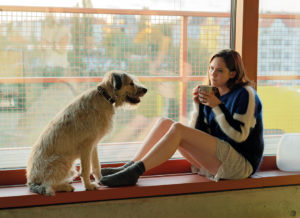 Wuff – Folge dem Hund