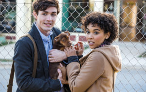 Die unglaublichen Abenteuer von Bella