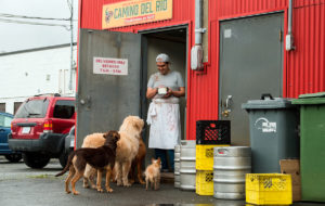 Die unglaublichen Abenteuer von Bella
