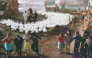 Skupljaci perja / Ich traf sogar glückliche Zigeuner