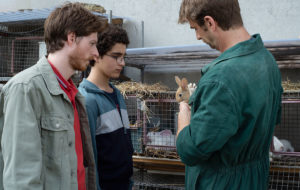 Young Ahmed (Luc Dardenne, Jean-Pierre Dardenne)