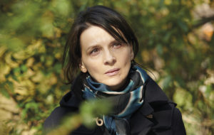 Die Blüte des Einklangs / Vision
