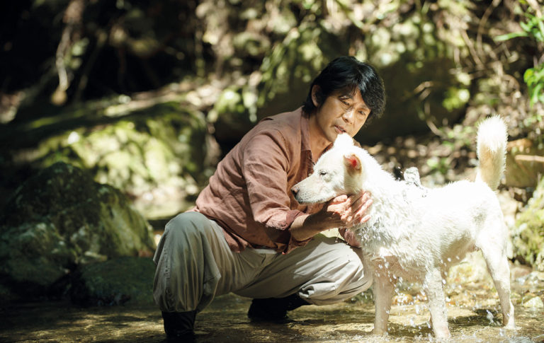 Die Blüte des Einklangs / Vision