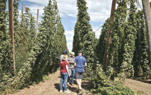 Bier! Der beste Film, der je gebraut wurde
