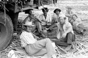 The Option – or: The Roses on the Highway