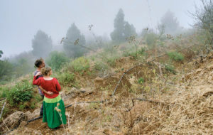 Erwin Wagenhofer - But Beautiful