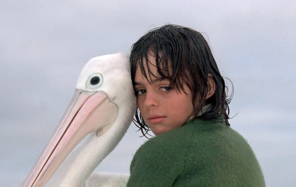 stormboy