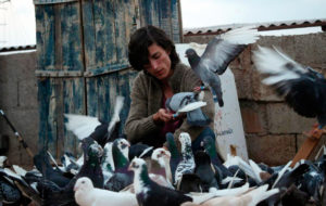 Türkische Filmtage – Pigeon