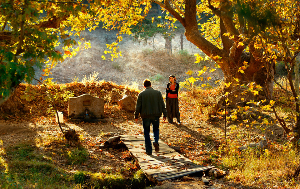 Türkische Filmtage – Wild Pear Tree