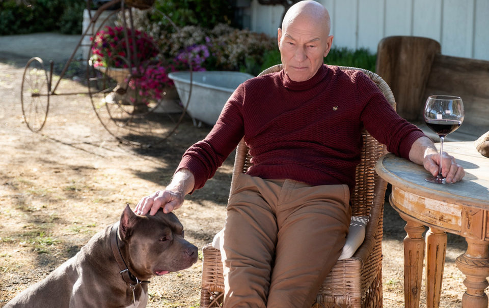 Star Trek: Picard (Staffel 1, 10 Episoden)