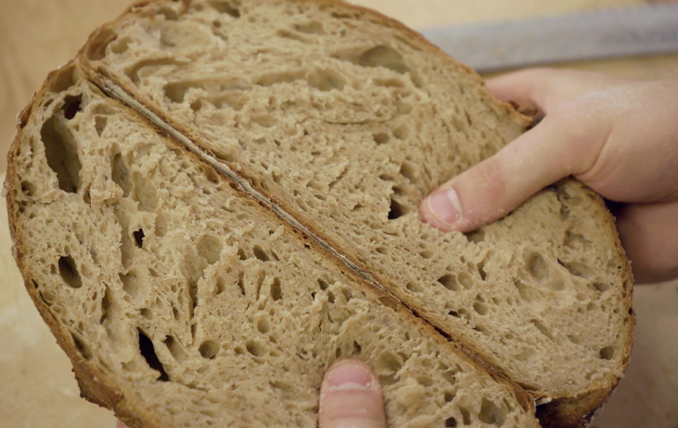 Brot