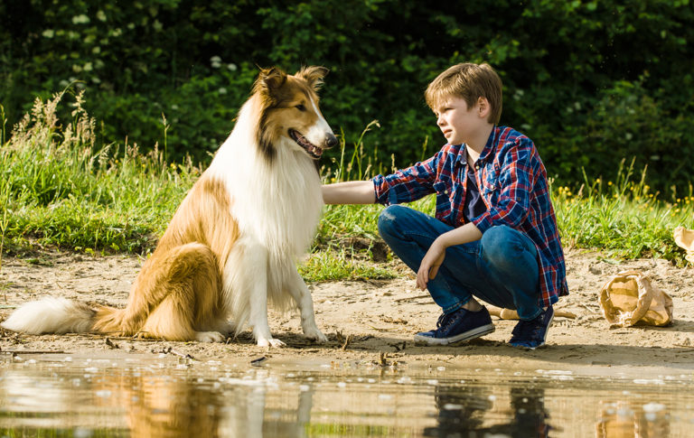 Lassie – Eine abenteuerliche Reise