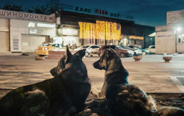 Space Dogs
