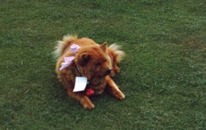 Sigmund Freud. Jude ohne Gott