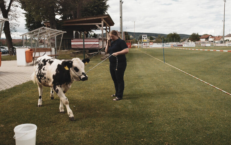 Der schönste Platz auf Erden