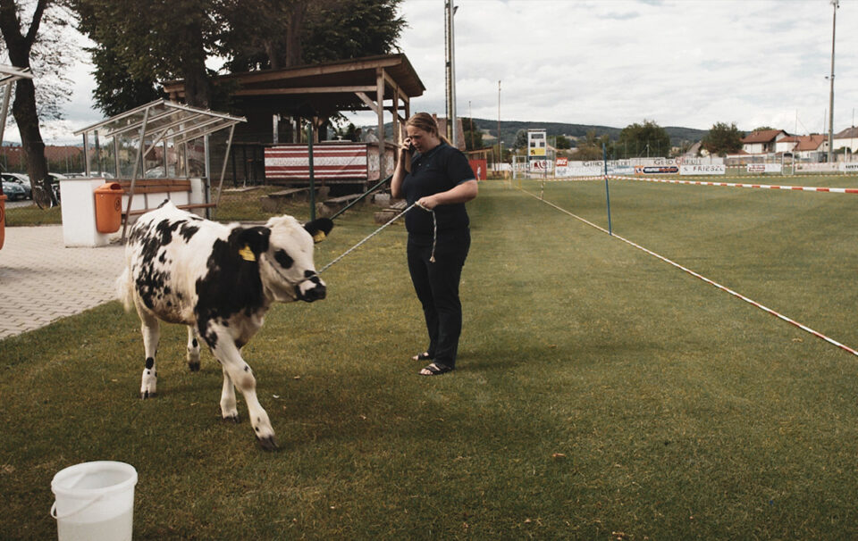 Der schönste Platz auf Erden