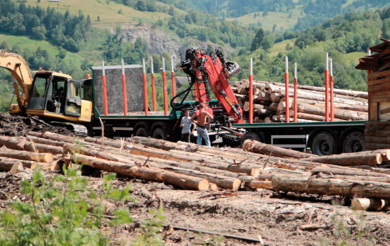 Wood – Der geraubte Wald