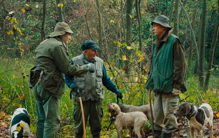 Die Trüffeljäger / The Truffle Hunters