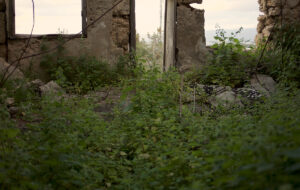 DOK-Leipzig-2021 - Der Rhein fließt ins Mittelmeer