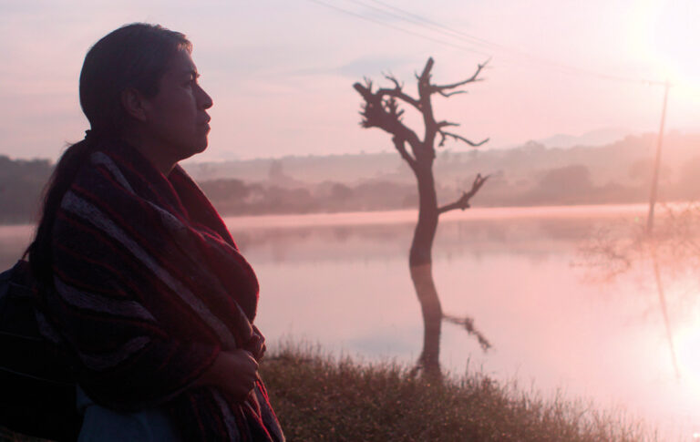 Was geschah mit Bus 670?