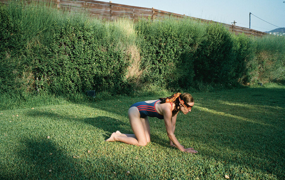 Dogtooth