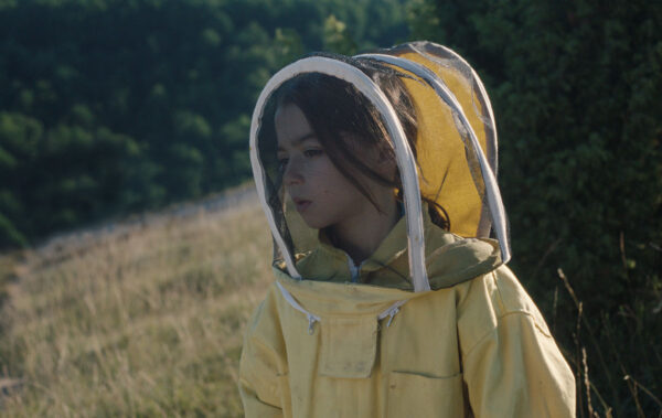 20.000 ARTEN VON BIENEN