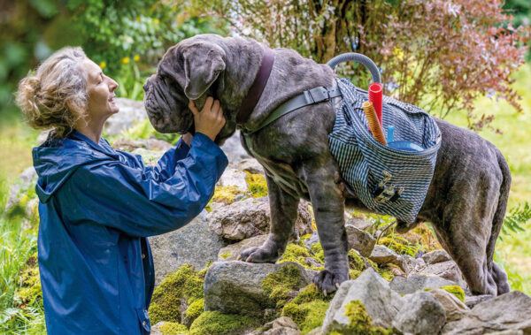 Lou – Abenteuer auf Samtpfoten