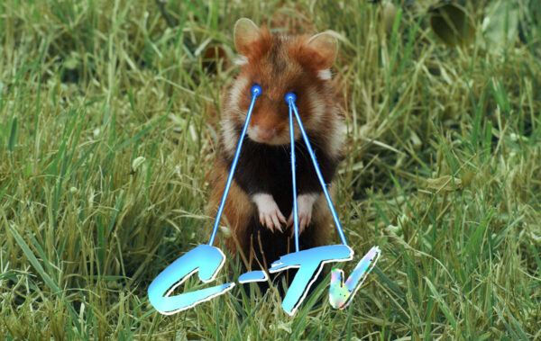 C-TV (Wenn ich Dir sage, ich habe Dich gern …)