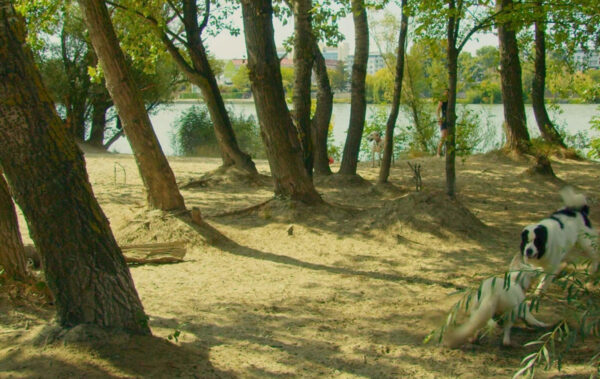 Hundestrand Nord (Benita Buhl) cinema next