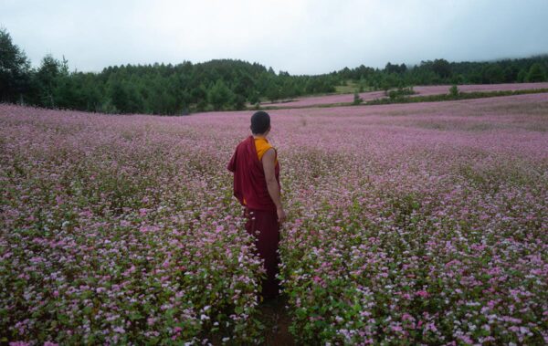 Was will der Lama mit dem Gewehr? / The Monk and the Gun