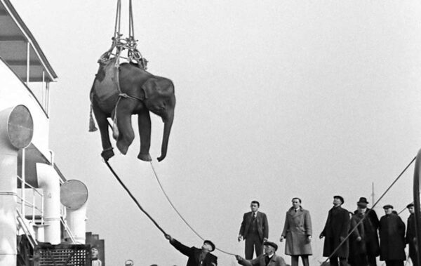 SOUNDTRACK TO A COUP D’ÉTAT