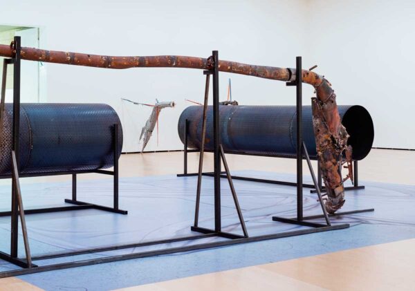 June Crespo, Vascular