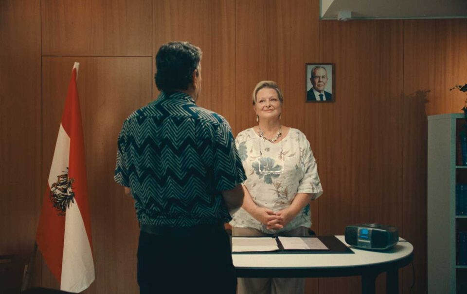 Noch lange keine Lipizzaner