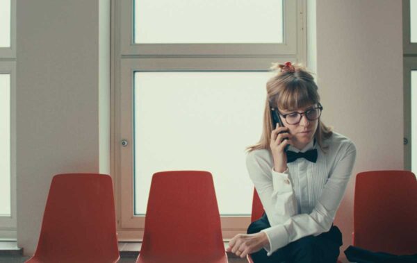 Noch lange keine Lipizzaner