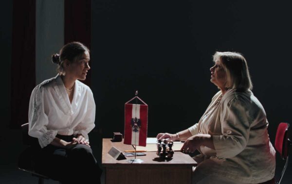 Noch lange keine Lipizzaner